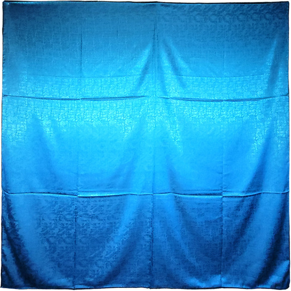 NWT Double Sided Silk Scarf 52